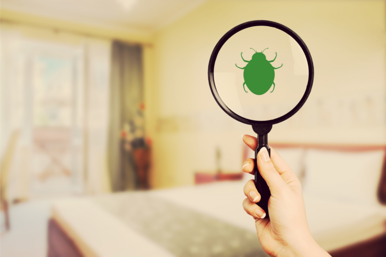 tips to avoid getting bed bugs